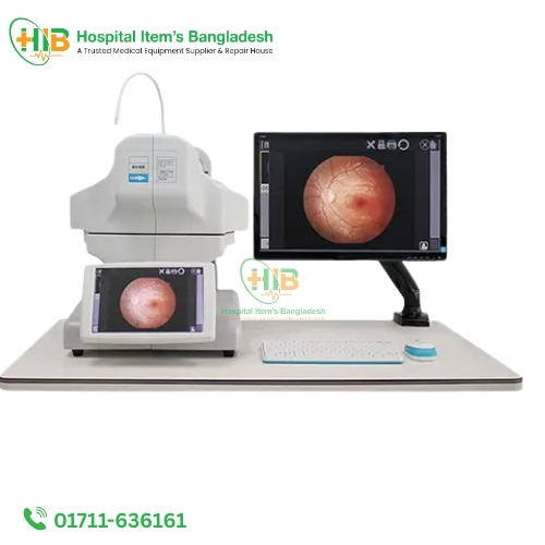 Color Fundus Photography (CFP)